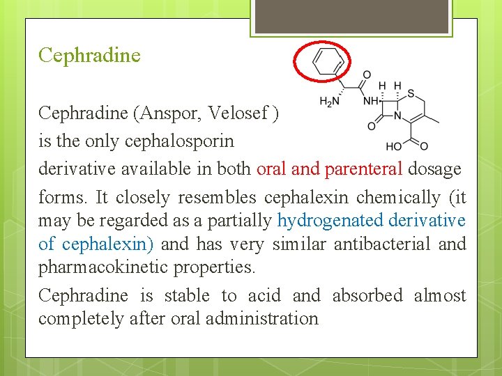 Cephradine (Anspor, Velosef ) is the only cephalosporin derivative available in both oral and