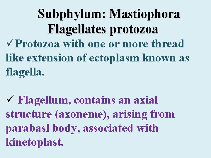 Subphylum: Mastiophora Flagellates protozoa üProtozoa with one or more thread like extension of ectoplasm