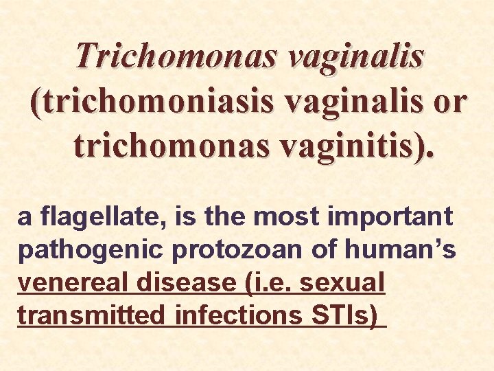 Trichomonas vaginalis (trichomoniasis vaginalis or trichomonas vaginitis). a flagellate, is the most important pathogenic