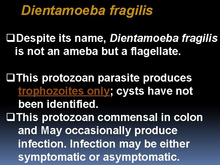 Dientamoeba fragilis q. Despite its name, Dientamoeba fragilis is not an ameba but a