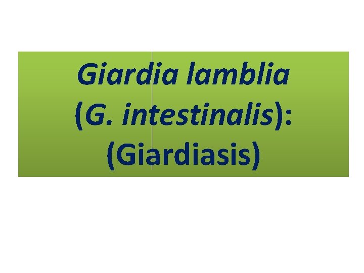 Giardia lamblia (G. intestinalis): (Giardiasis) 