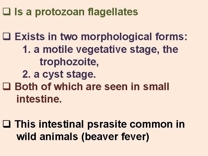q Is a protozoan flagellates q Exists in two morphological forms: 1. a motile