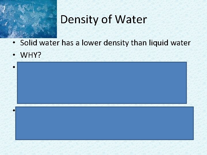Density of Water • Solid water has a lower density than liquid water •