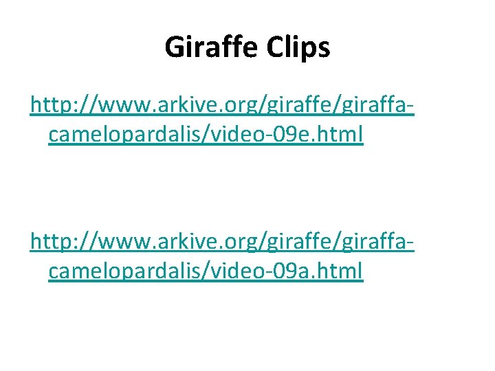 Giraffe Clips http: //www. arkive. org/giraffe/giraffacamelopardalis/video-09 e. html http: //www. arkive. org/giraffe/giraffacamelopardalis/video-09 a. html