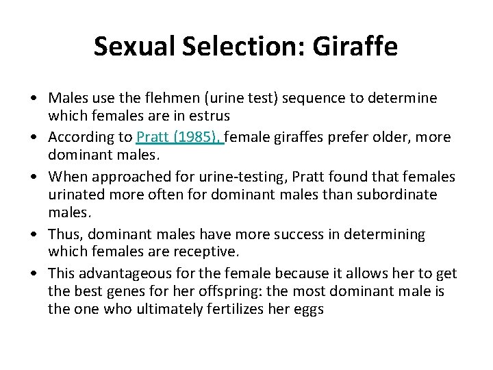 Sexual Selection: Giraffe • Males use the flehmen (urine test) sequence to determine which