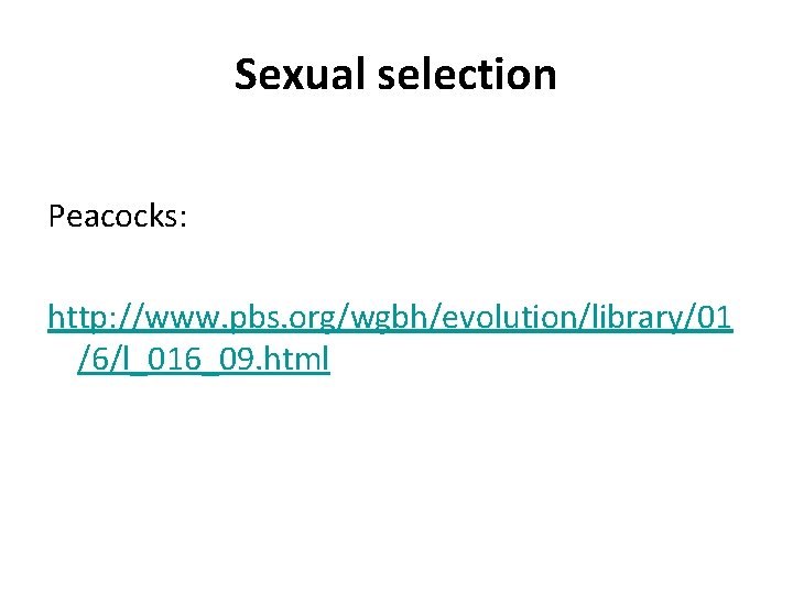 Sexual selection Peacocks: http: //www. pbs. org/wgbh/evolution/library/01 /6/l_016_09. html 