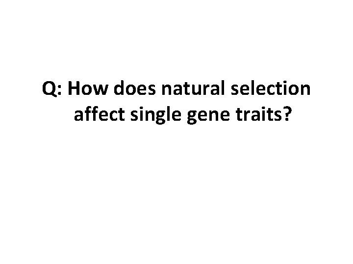Q: How does natural selection affect single gene traits? 