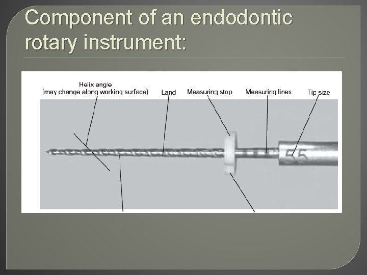 Component of an endodontic rotary instrument: 