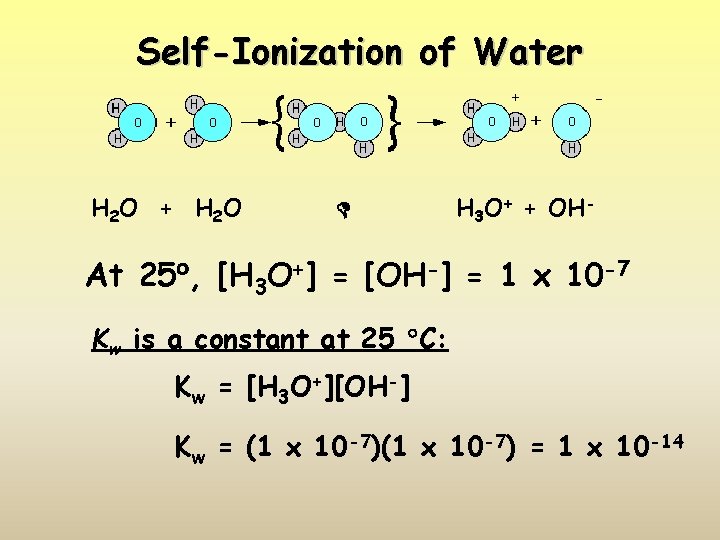 Self-Ionization of Water H 2 O + H 2 O H 3 O+ +