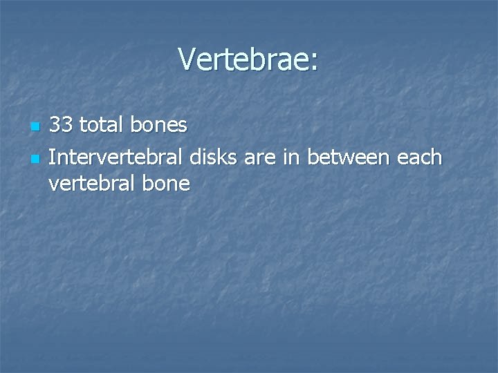 Vertebrae: n n 33 total bones Intervertebral disks are in between each vertebral bone