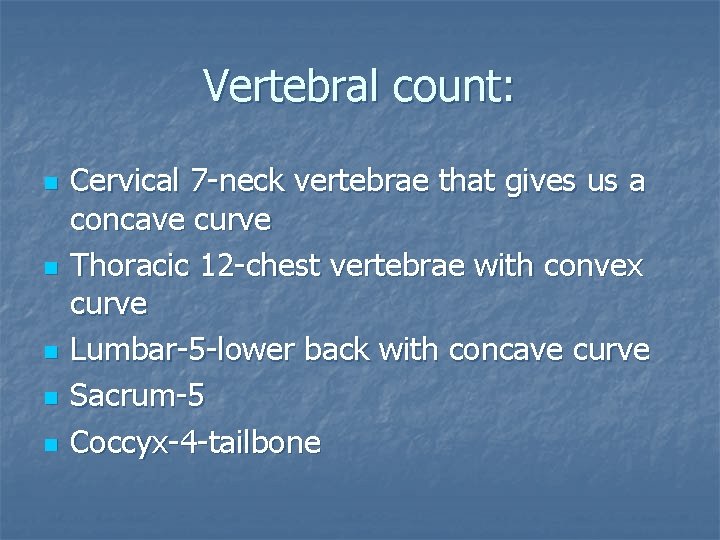 Vertebral count: n n n Cervical 7 -neck vertebrae that gives us a concave