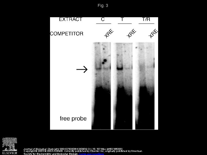 Fig. 3 Journal of Biological Chemistry 2004 27925284 -25293 DOI: (10. 1074/jbc. M 402168200)