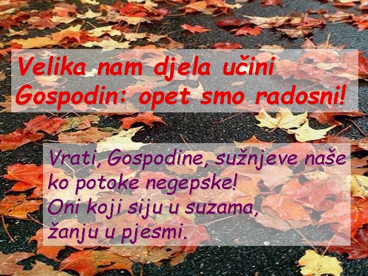 Velika nam djela učini Gospodin: opet smo radosni! Vrati, Gospodine, sužnjeve naše ko potoke