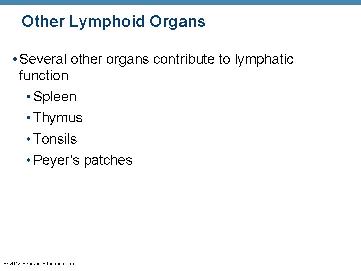 Other Lymphoid Organs • Several other organs contribute to lymphatic function • Spleen •