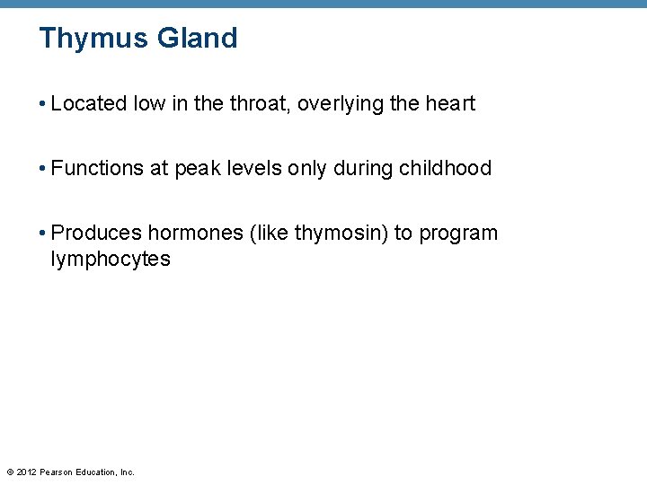 Thymus Gland • Located low in the throat, overlying the heart • Functions at
