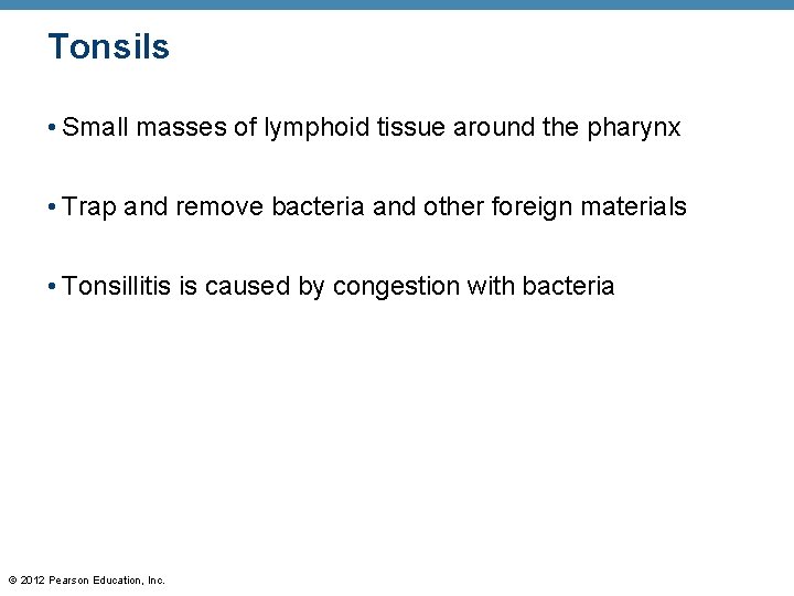 Tonsils • Small masses of lymphoid tissue around the pharynx • Trap and remove