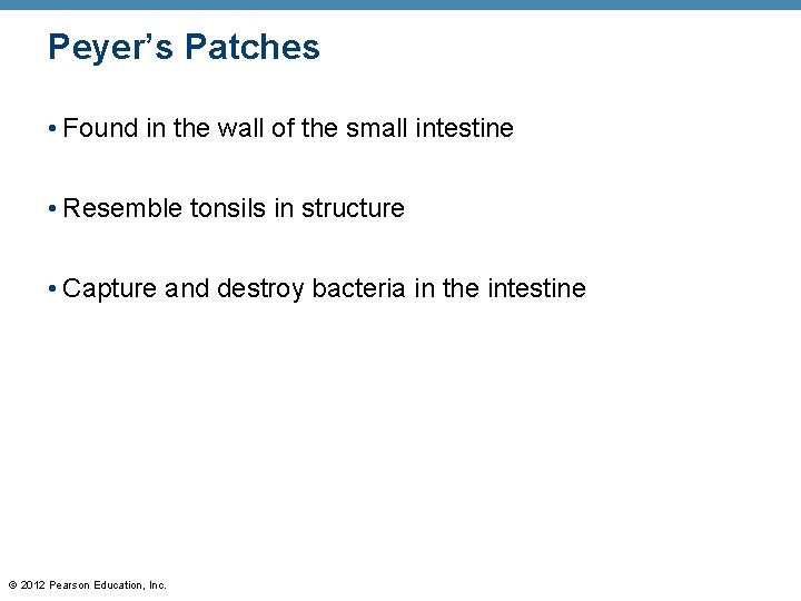 Peyer’s Patches • Found in the wall of the small intestine • Resemble tonsils