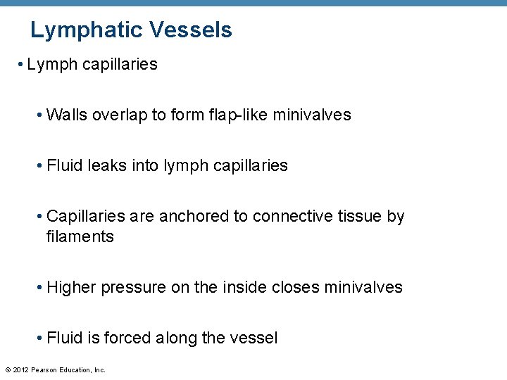 Lymphatic Vessels • Lymph capillaries • Walls overlap to form flap-like minivalves • Fluid