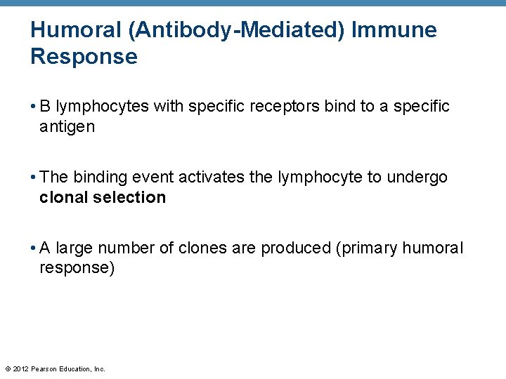 Humoral (Antibody-Mediated) Immune Response • B lymphocytes with specific receptors bind to a specific
