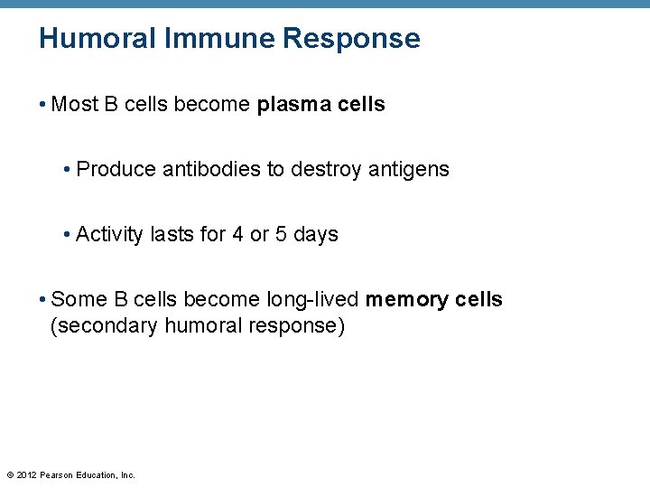 Humoral Immune Response • Most B cells become plasma cells • Produce antibodies to