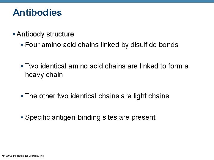 Antibodies • Antibody structure • Four amino acid chains linked by disulfide bonds •