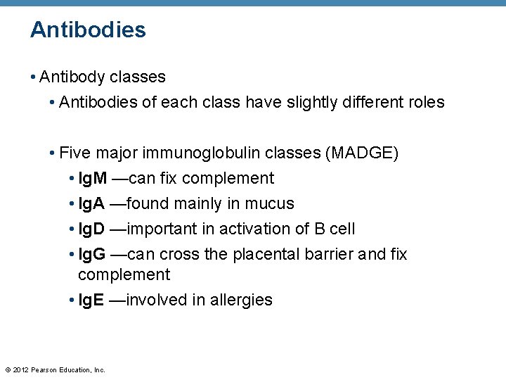 Antibodies • Antibody classes • Antibodies of each class have slightly different roles •