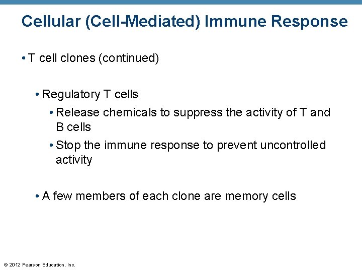 Cellular (Cell-Mediated) Immune Response • T cell clones (continued) • Regulatory T cells •