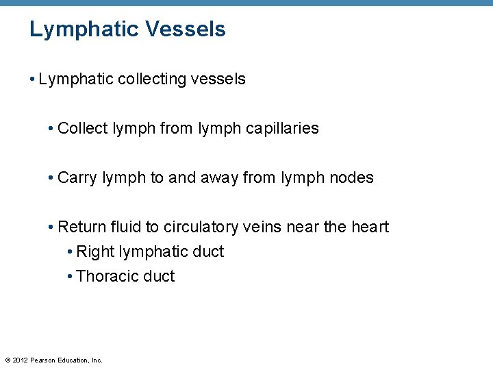 Lymphatic Vessels • Lymphatic collecting vessels • Collect lymph from lymph capillaries • Carry