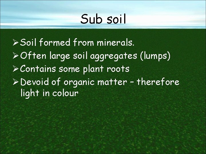 Sub soil Ø Soil formed from minerals. Ø Often large soil aggregates (lumps) Ø