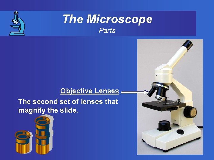 The Microscope Parts Objective Lenses The second set of lenses that magnify the slide.