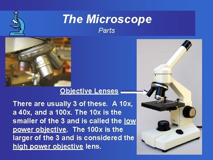 The Microscope Parts Objective Lenses There are usually 3 of these. A 10 x,