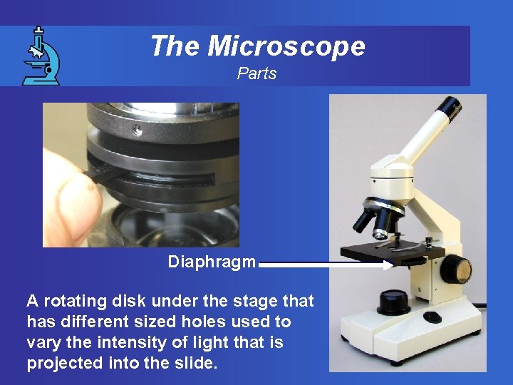 The Microscope Parts Diaphragm A rotating disk under the stage that has different sized