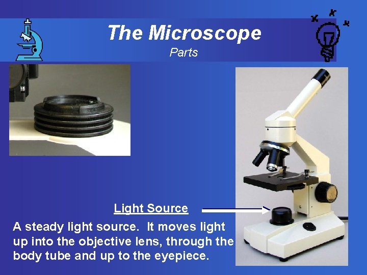 The Microscope Parts Light Source A steady light source. It moves light up into