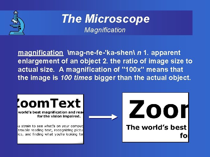 The Microscope Magnification magnification mag-ne-fe-'ka-shen n 1. apparent enlargement of an object 2. the