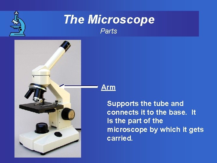 The Microscope Parts Arm Supports the tube and connects it to the base. It