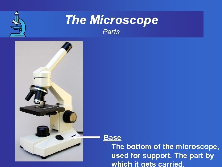 The Microscope Parts Base The bottom of the microscope, used for support. The part