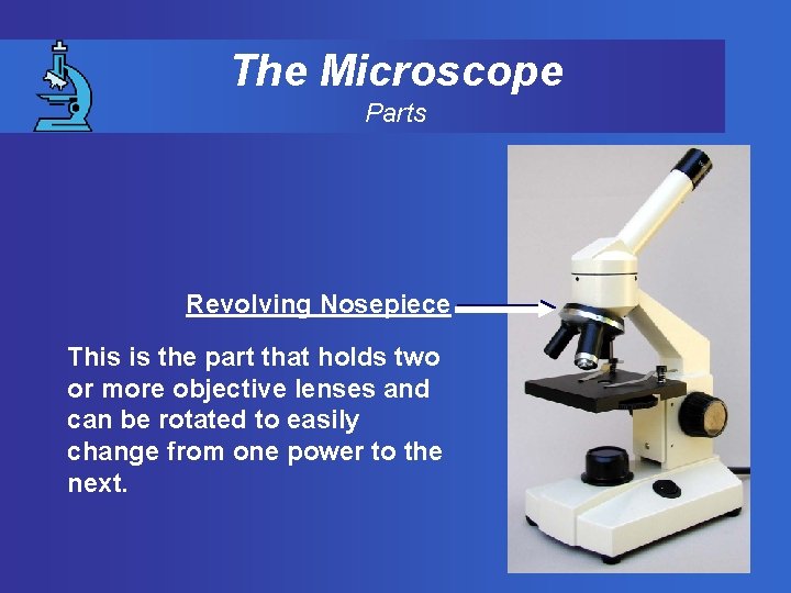 The Microscope Parts Revolving Nosepiece This is the part that holds two or more