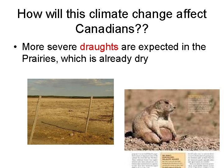 How will this climate change affect Canadians? ? • More severe draughts are expected