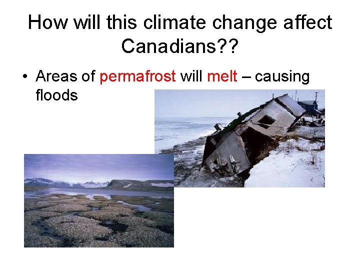 How will this climate change affect Canadians? ? • Areas of permafrost will melt