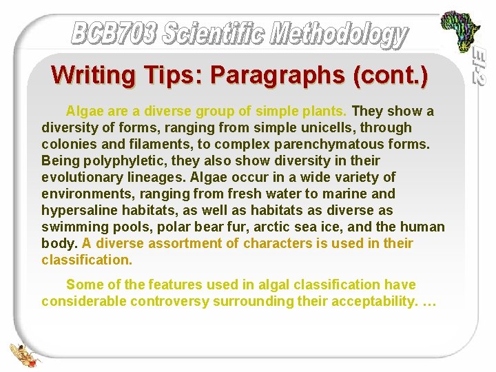 Writing Tips: Paragraphs (cont. ) Algae are a diverse group of simple plants. They