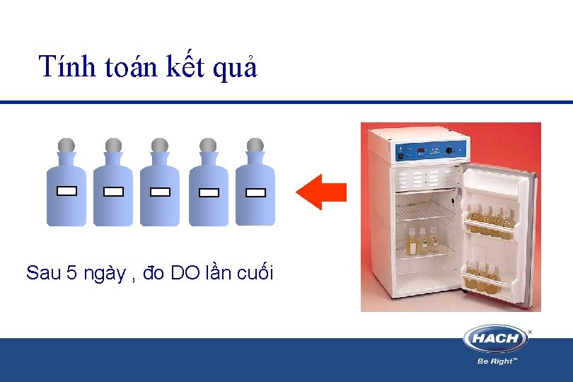 Tính toán kết quả Sau 5 ngày , đo DO lần cuối 