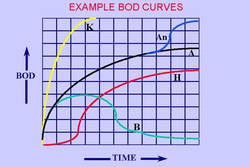 EXAMPLE BOD CURVES K An A BOD H B TIME 