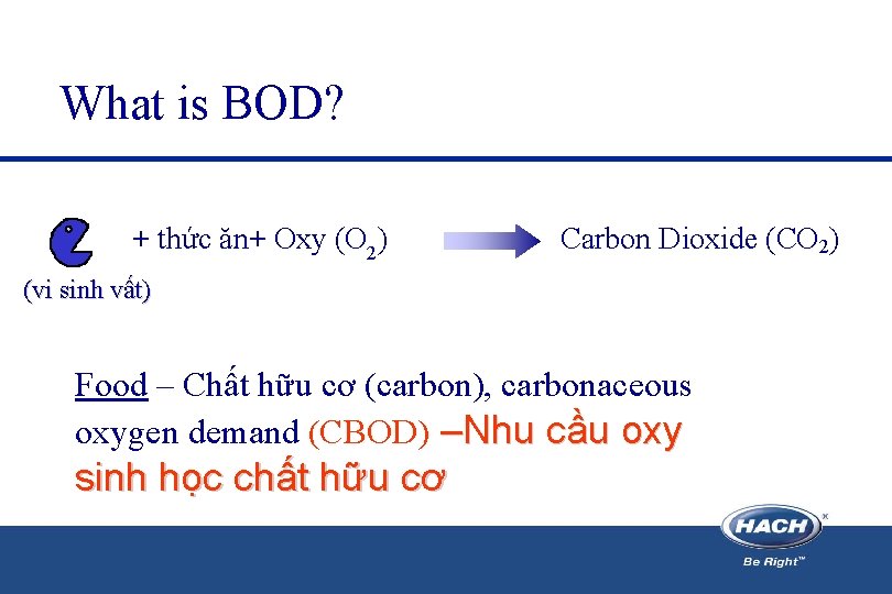 What is BOD? + thức ăn+ Oxy (O 2) Carbon Dioxide (CO 2) (vi