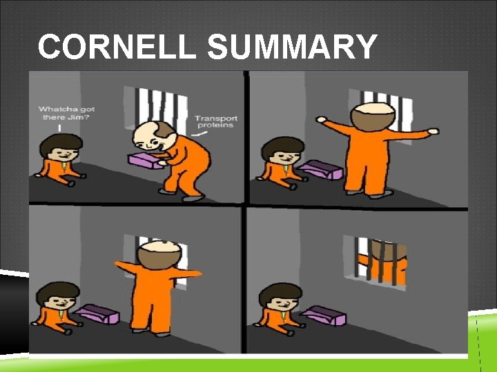 CORNELL SUMMARY 