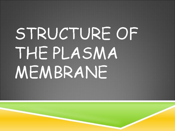 STRUCTURE OF THE PLASMA MEMBRANE 