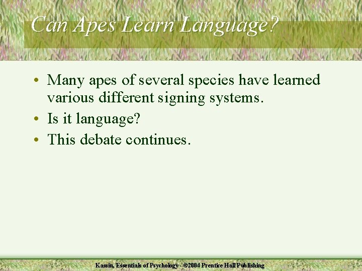 Can Apes Learn Language? • Many apes of several species have learned various different