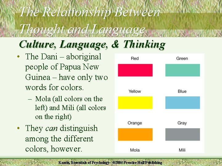 The Relationship Between Thought and Language Culture, Language, & Thinking • The Dani –