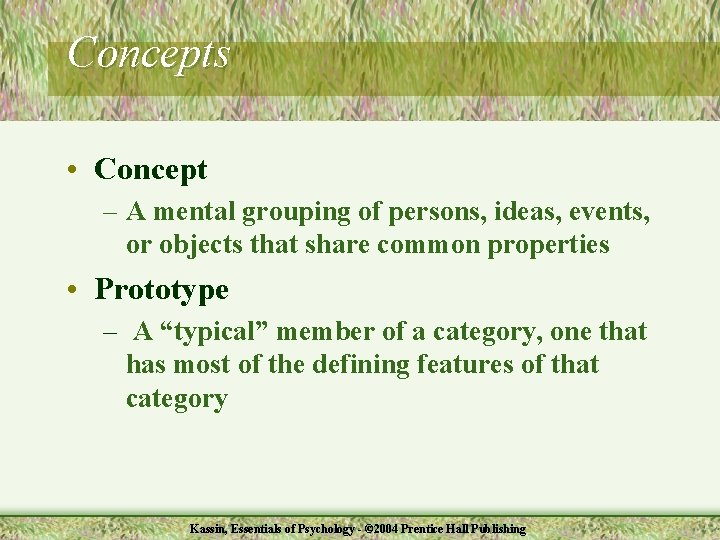 Concepts • Concept – A mental grouping of persons, ideas, events, or objects that