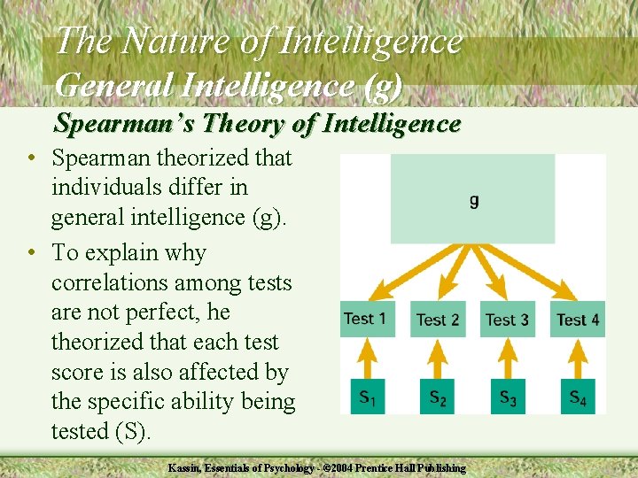 The Nature of Intelligence General Intelligence (g) Spearman’s Theory of Intelligence • Spearman theorized