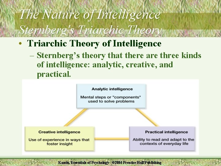 The Nature of Intelligence Sternberg's Triarchic Theory • Triarchic Theory of Intelligence – Sternberg’s